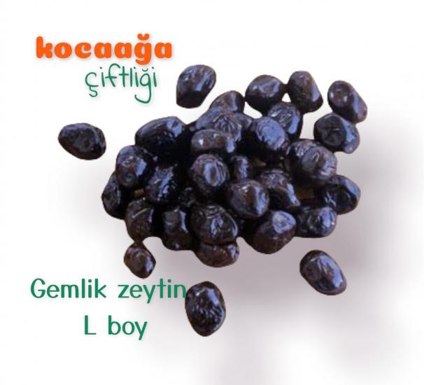 Kocaağa Çiftliği Gemlik Zeytin L Boy