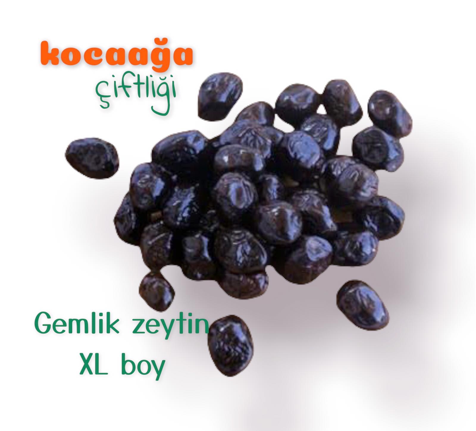 Kocaağa Çiftliği Gemlik Zeytin XL Boy